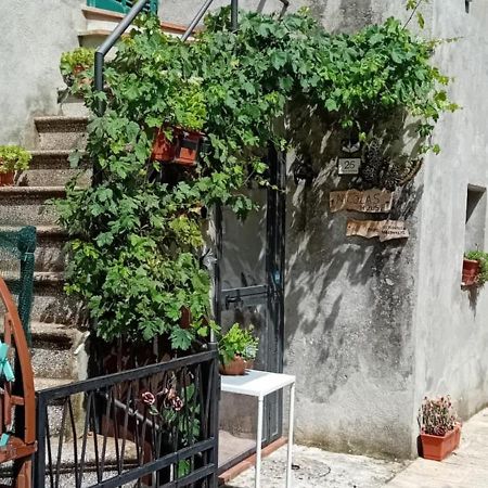 Nicolas House Campiglia d'Orcia Exterior photo
